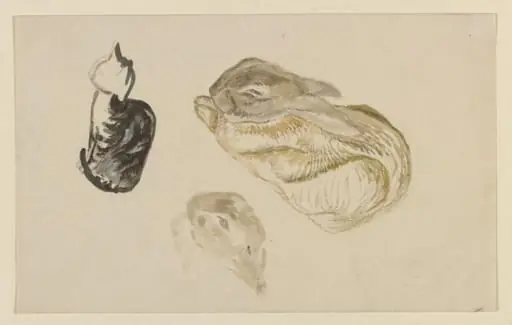 Studies of a rabbit and a cat