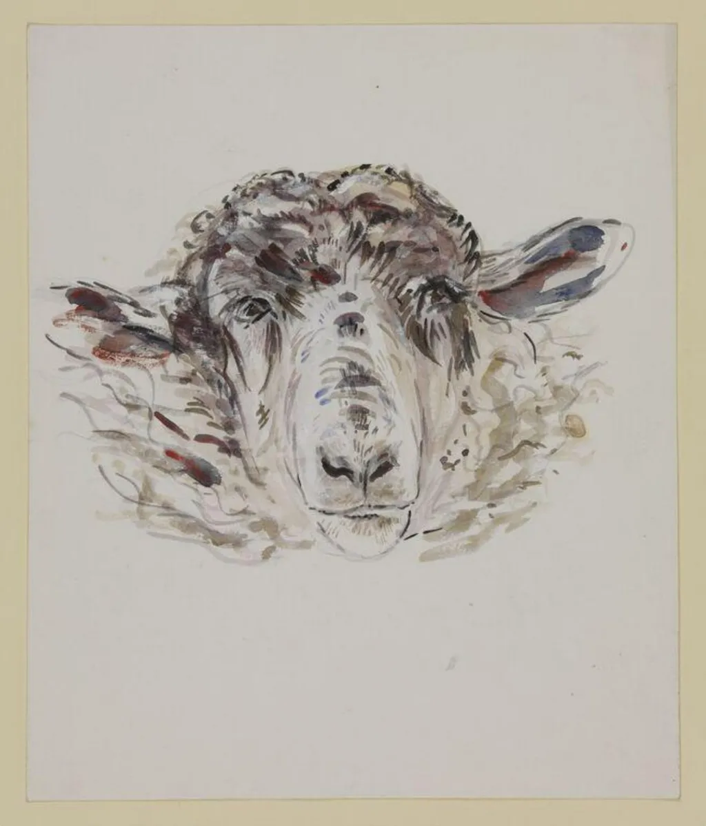 Study of a sheep's head, by Beatrix Potter, watercolor, 1909