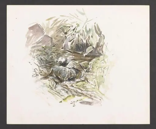 Study of a stream with boulders, by Beatrix Potter