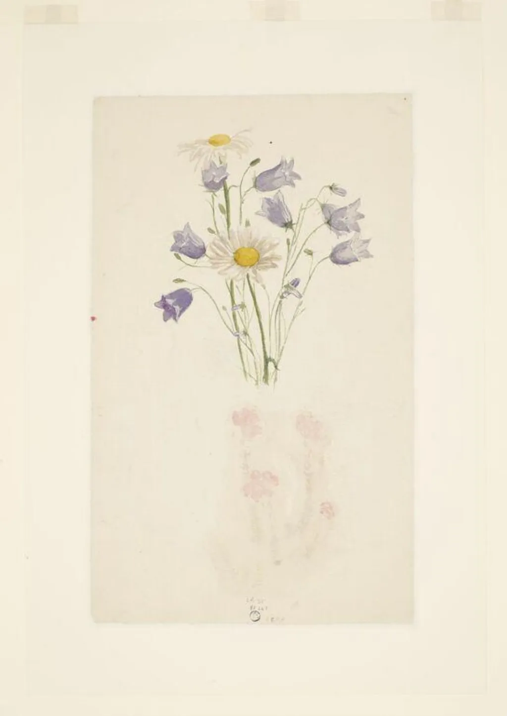 Study of harebells and marguerites, by Beatrix Potter, watercolor, 5