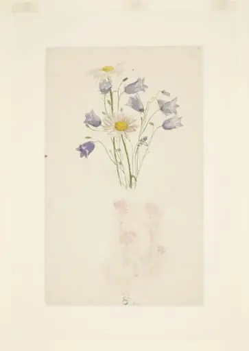Study of harebells and marguerites, by Beatrix Potter