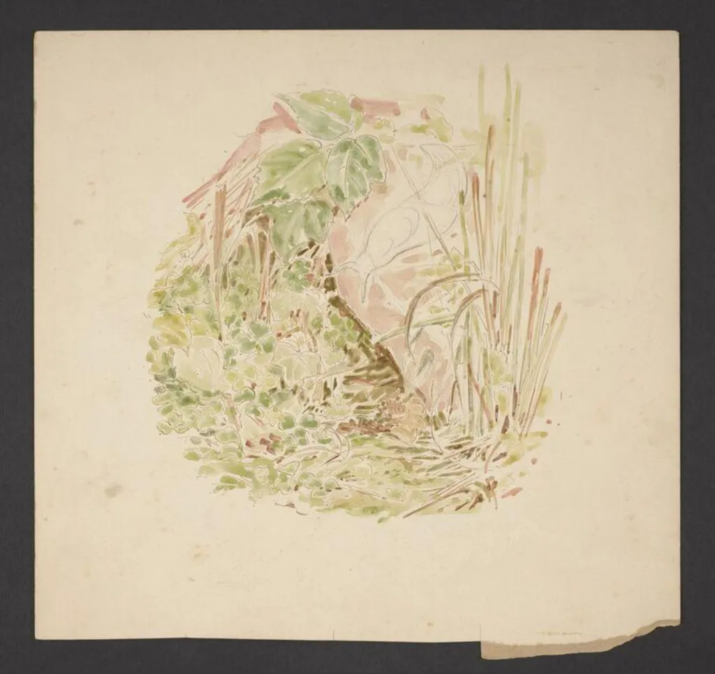 Study of undergrowth with grasses, clover and a snail, by Beatrix Potter, watercolor, 1902