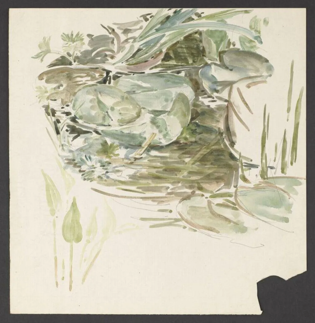 Study of waterlily leaves, by Beatrix Potter, watercolor, 1903