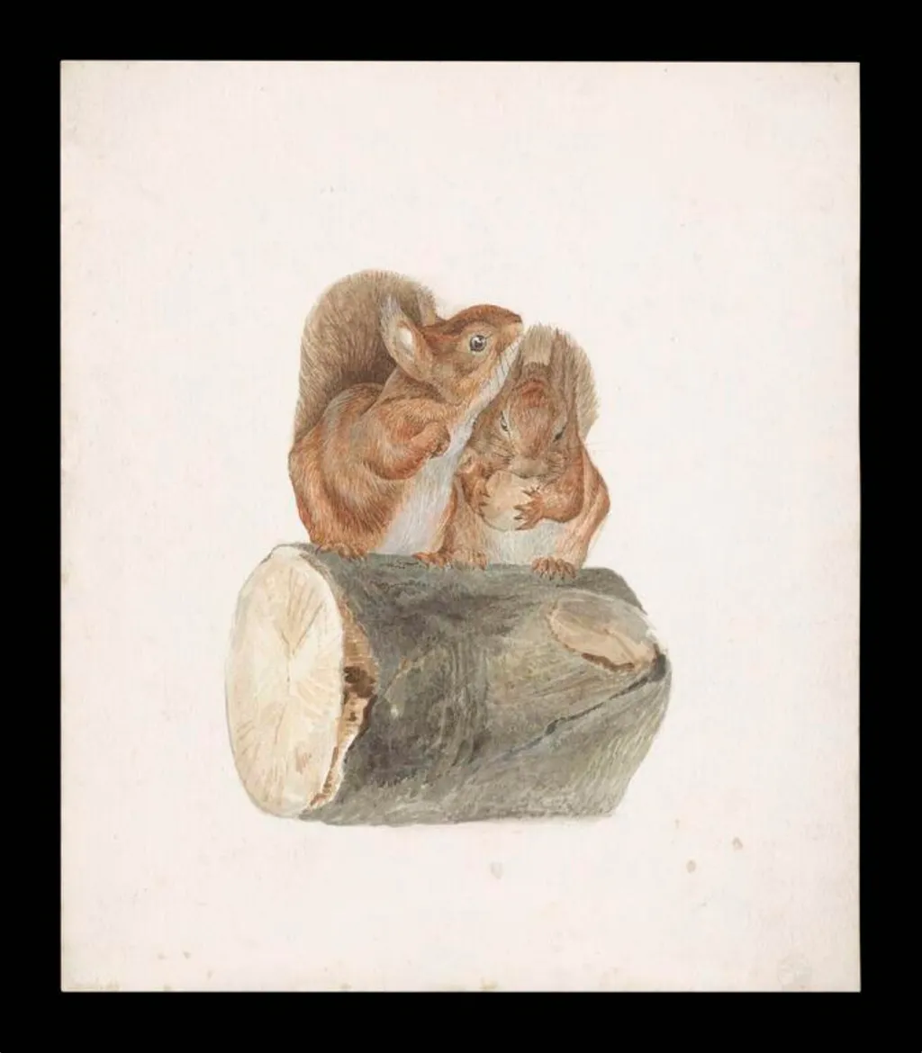Two squirrels sitting on a log, by Beatrix Potter, watercolor, 1894