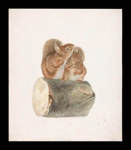 Two squirrels sitting on a log, by Beatrix Potter