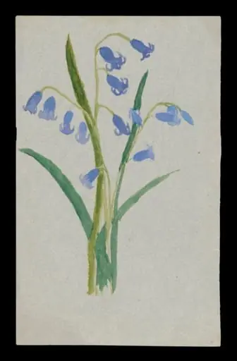 Untitled, by Beatrix Potter