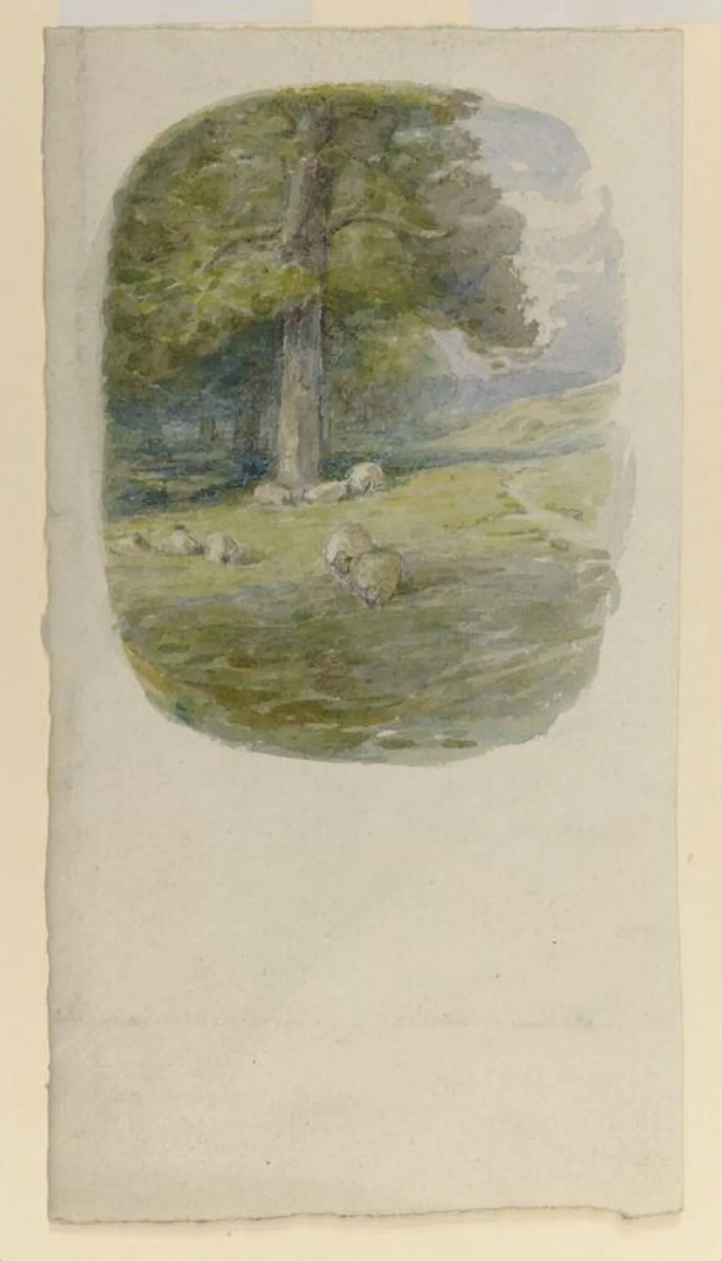 Untitled, by Beatrix Potter, watercolor, 1900