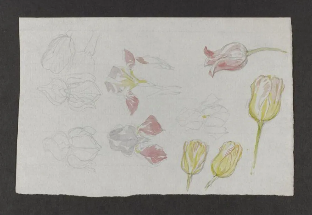 Untitled, by Beatrix Potter, watercolor, 1850