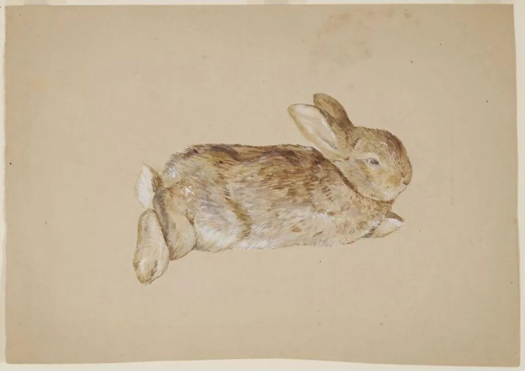 Untitled, by Beatrix Potter, watercolor, 1892