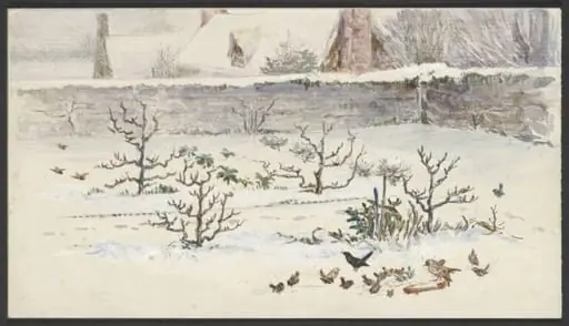 Untitled, by Beatrix Potter