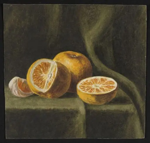 Untitled, by Beatrix Potter
