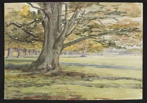 Untitled, by Beatrix Potter