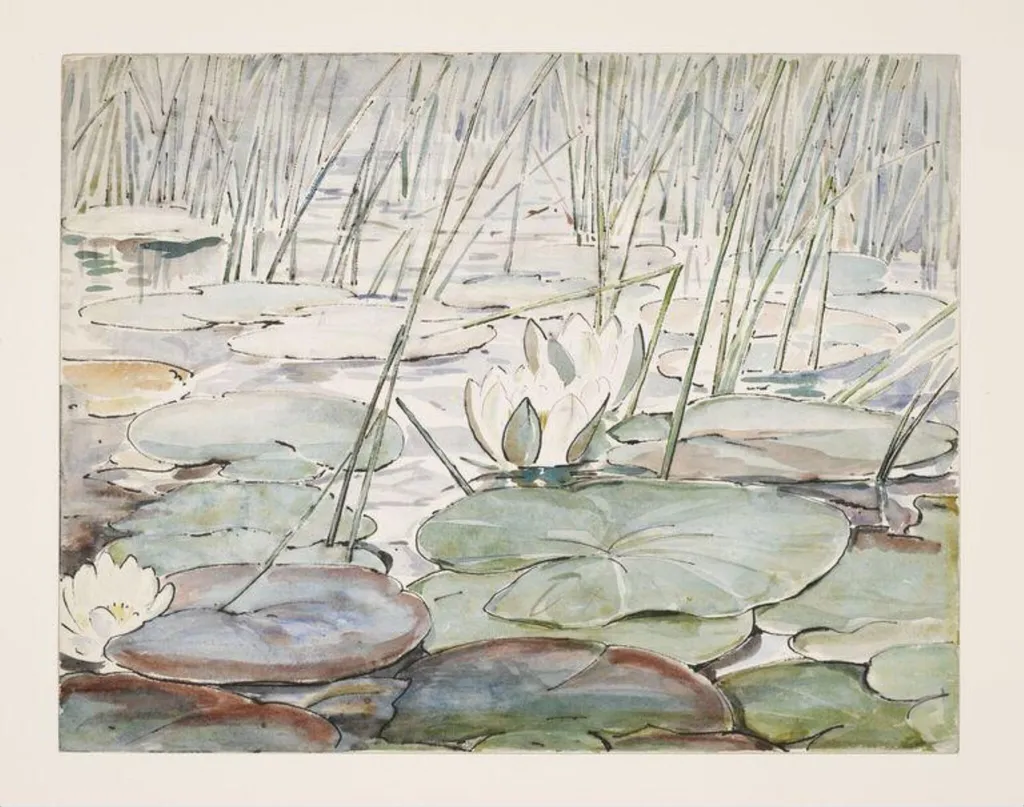 Waterlilies, by Beatrix Potter, watercolor, 1906