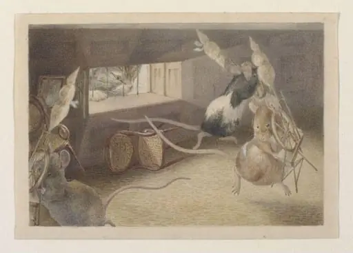'What are you at, my fine little Men?', by Beatrix Potter