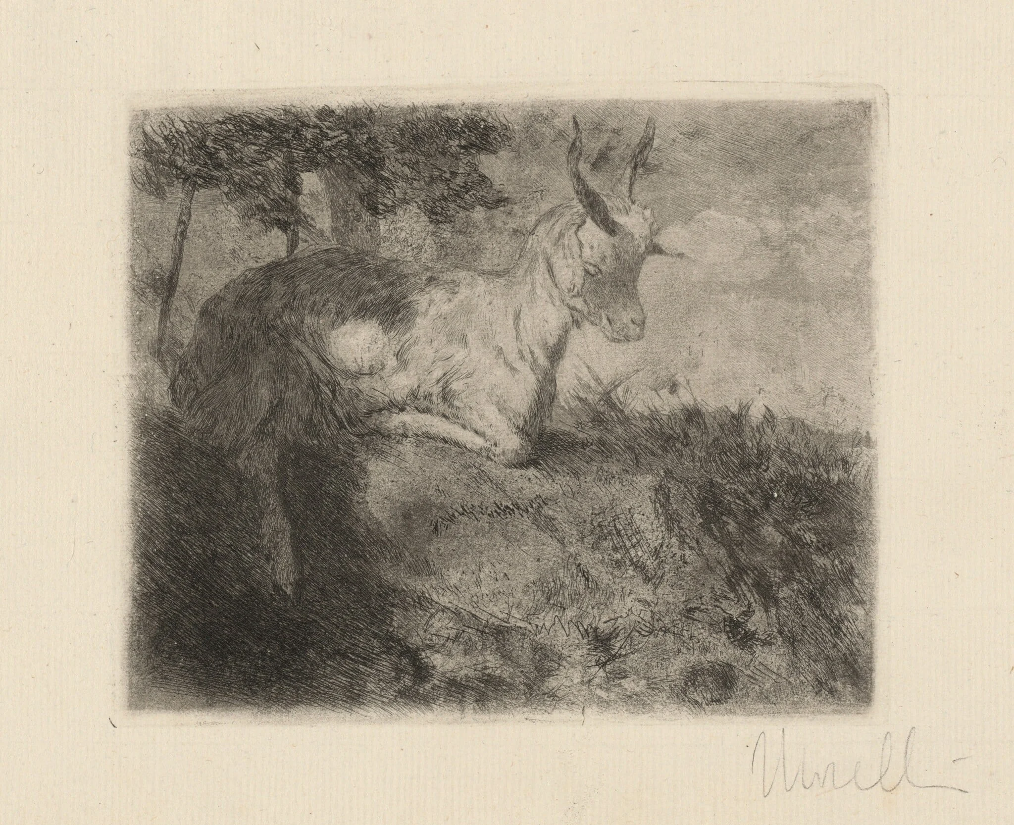 The Little Goat (La capretta), detail