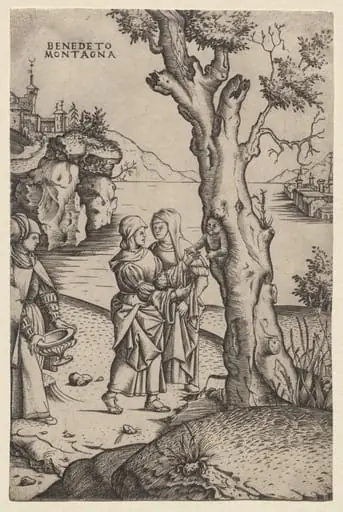Birth of Adonis, by Benedetto Montagna