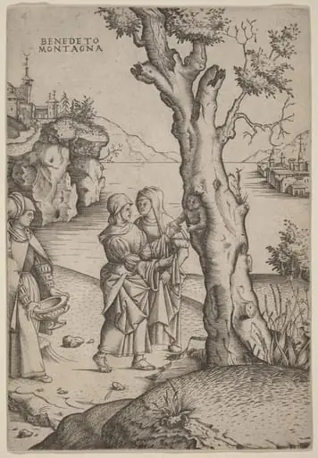 Birth of Adonis, by Benedetto Montagna