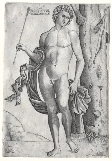 Man with an Arrow, by Benedetto Montagna