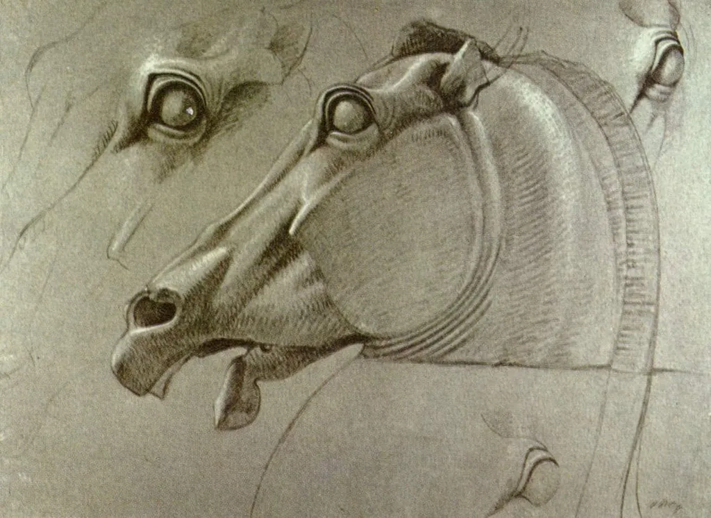 Kopf des Pferdes der Selene, by Benjamin Haydon, chalk, 1809