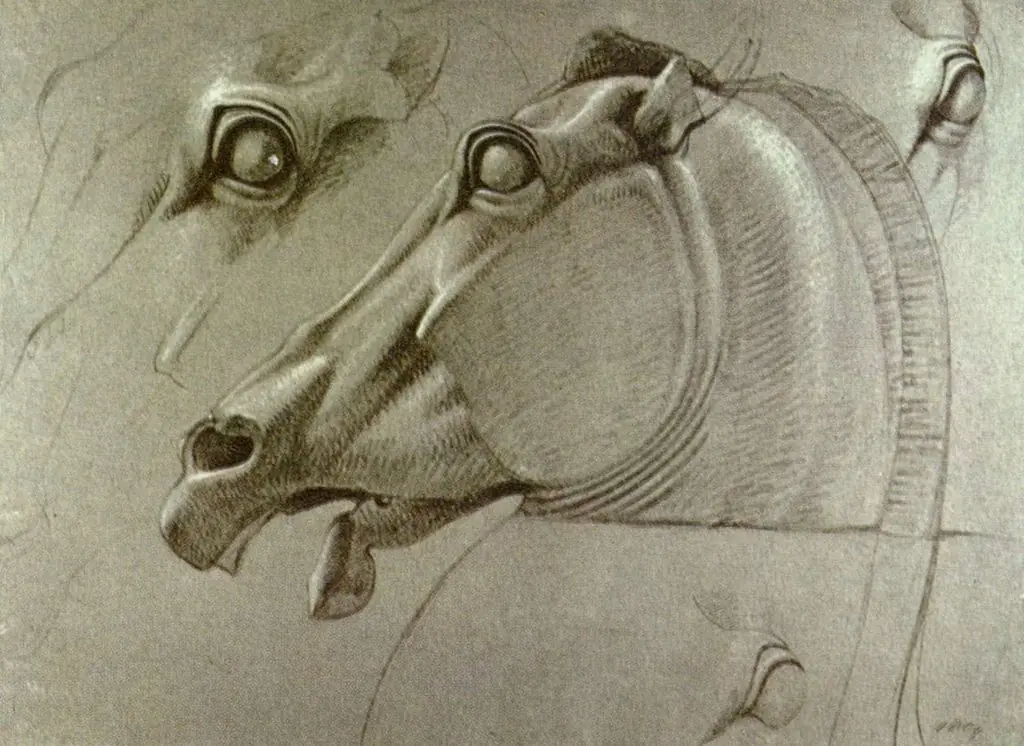 Kopf des Pferdes der Selene, by Benjamin Haydon