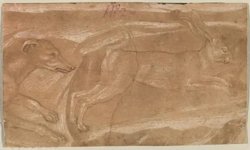 A Hound Chasing a Hare, by Benozzo Gozzoli