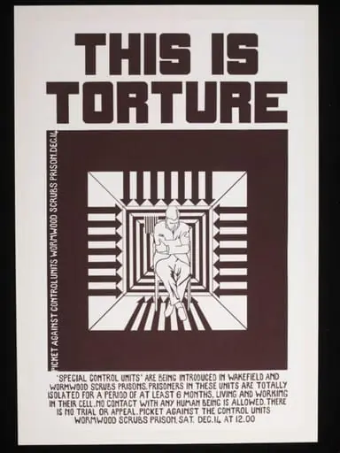 This is Torture, by Bernadette Brittain