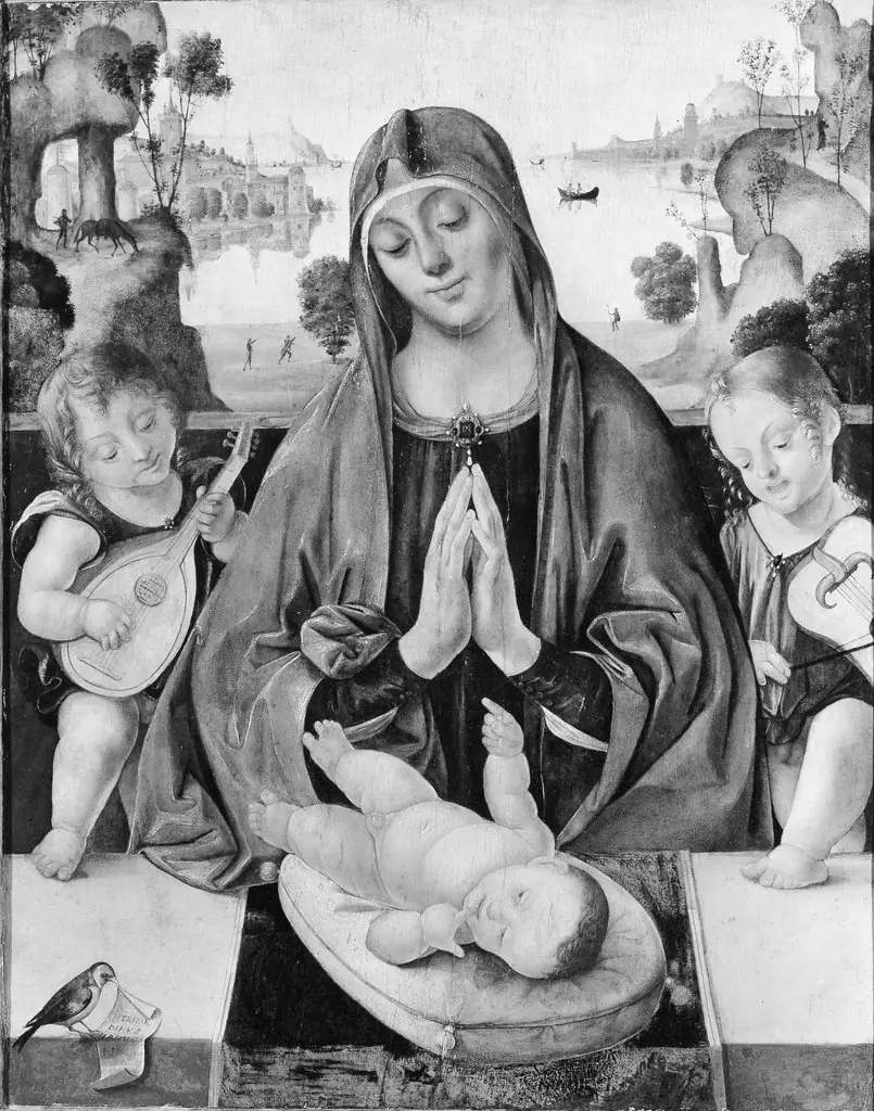 Bernardino da Genoa