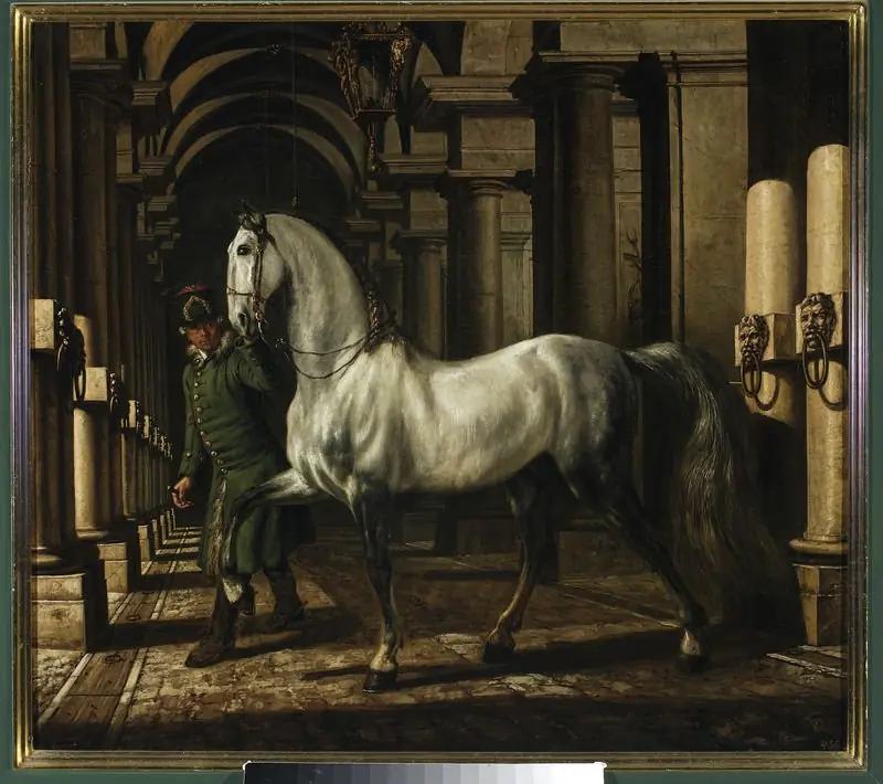 Stable boy leading a horse, by Bernardo Bellotto
