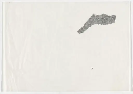 Untitled, by Bernardo Ortiz Campo