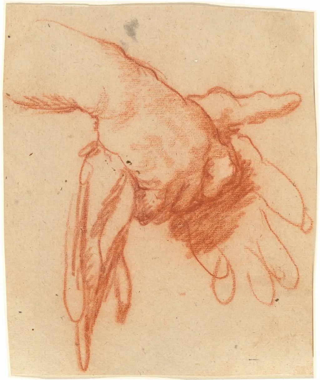 A Hand Holding Empty Gloves, by Bernardo Strozzi, chalk, 1634