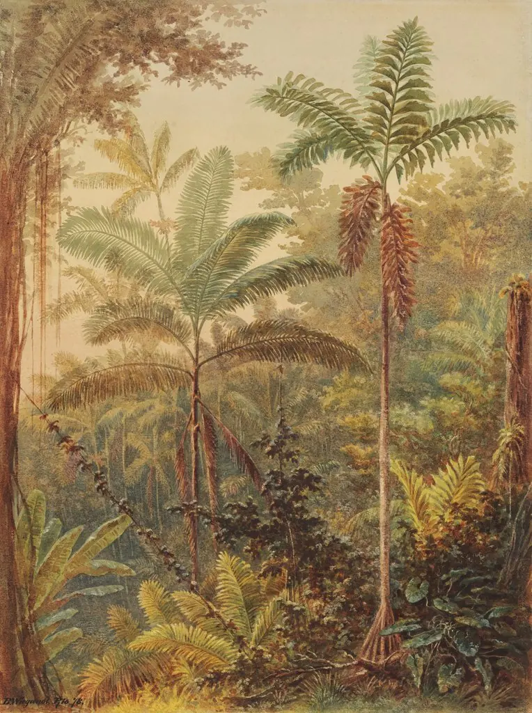 Vegetação tropical (atribuído), by Bernhard Wiegandt