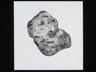 Dematerialised, by Bernheim