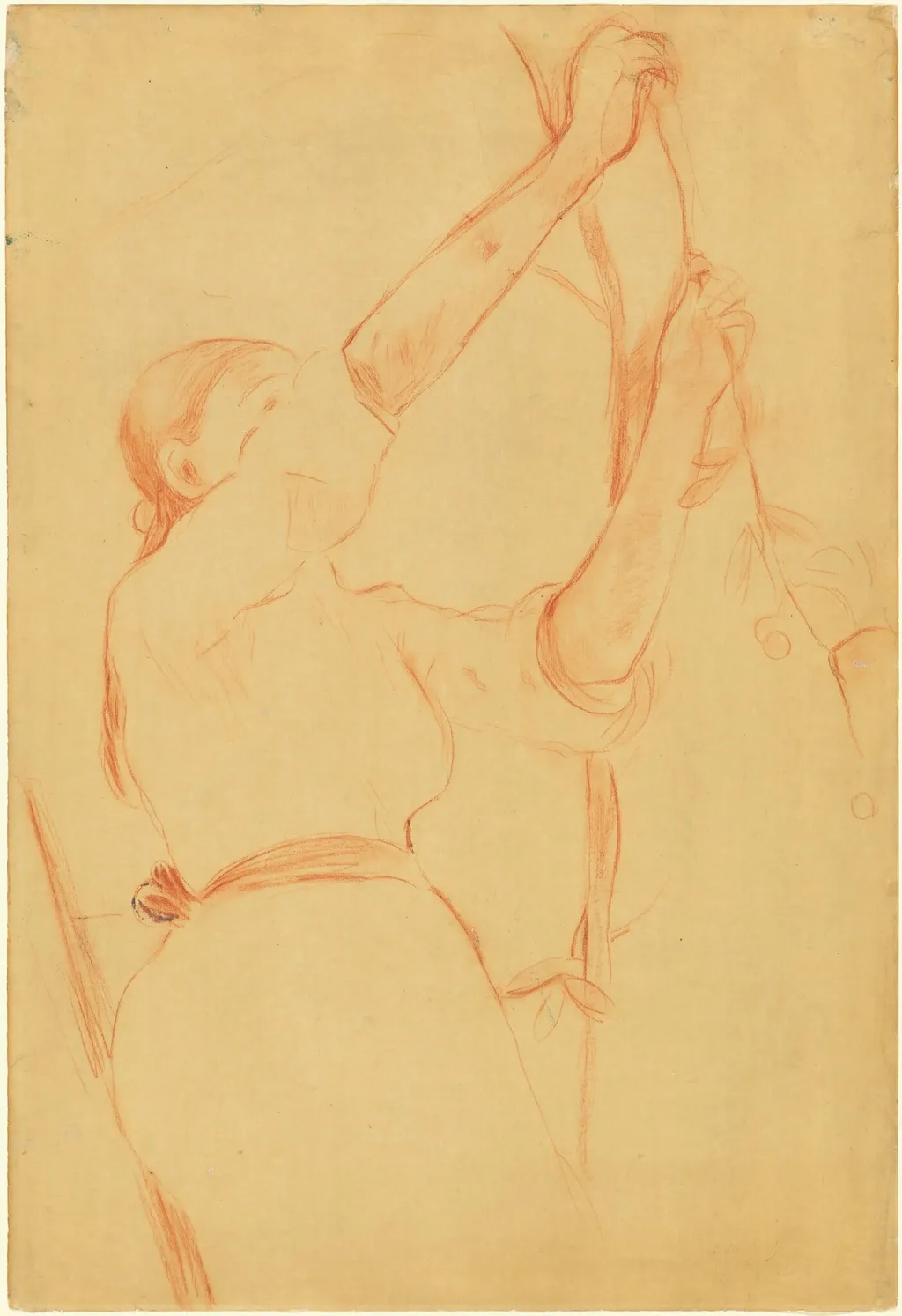 Girl Picking Cherries, by Berthe Morisot, chalk, 1891