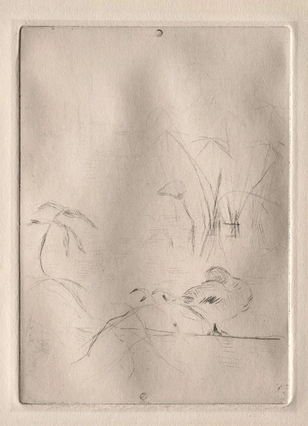 The Duck, by Berthe Morisot, 1889