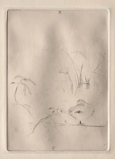 The Duck, by Berthe Morisot