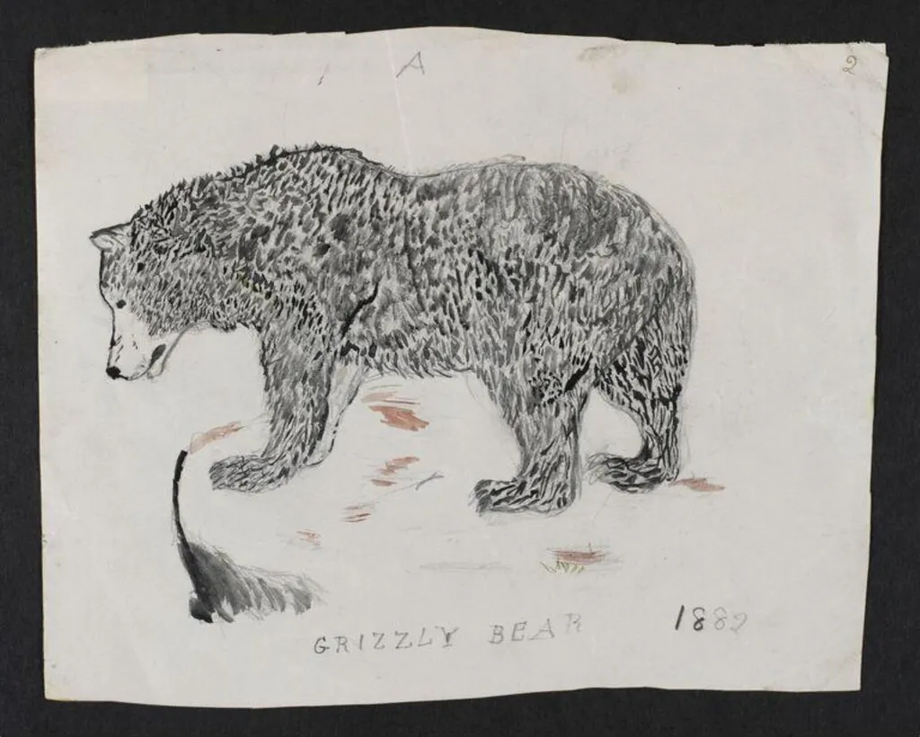 Untitled, by Bertram Potter, watercolor, 1882