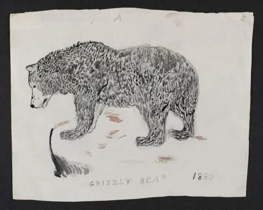 Untitled, by Bertram Potter