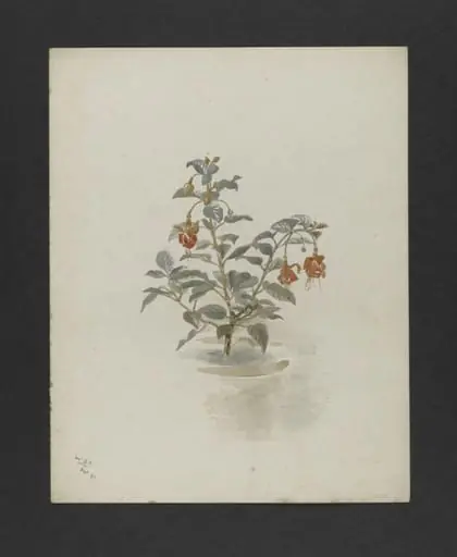 Untitled, by Bertram Potter
