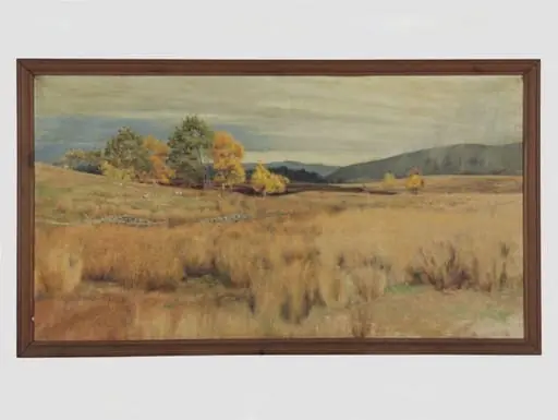 Untitled, by Bertram Potter