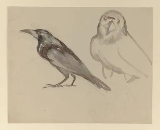 Untitled, by Bertram Potter