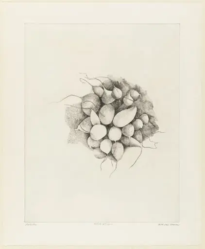 Untitled, by Beth Van Hoesen