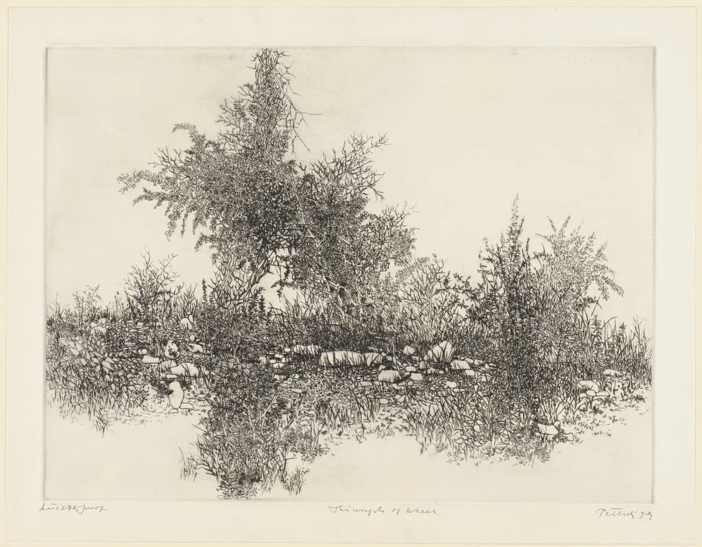 Untitled, detail
