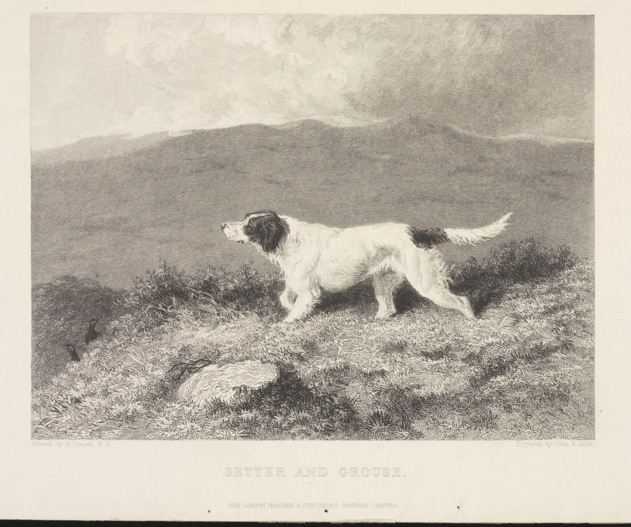 Setter and Grouse, detail