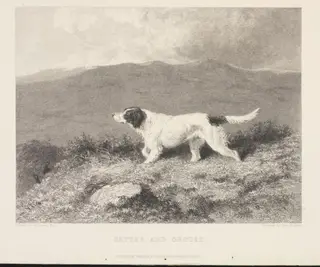 Setter and Grouse, by Abraham Cooper, 1850