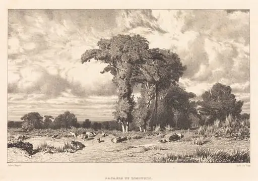 Pastures of Limousin (Pacages du Limousin), by Jules Dupré, ink, 1835