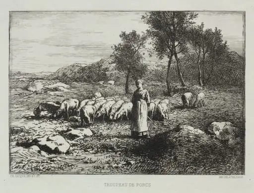 Herd of Swine, by Charles Jacque, 1868