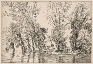 Willows of the Mottiaux Islands, by Félix Bracquemond, ink, 1868