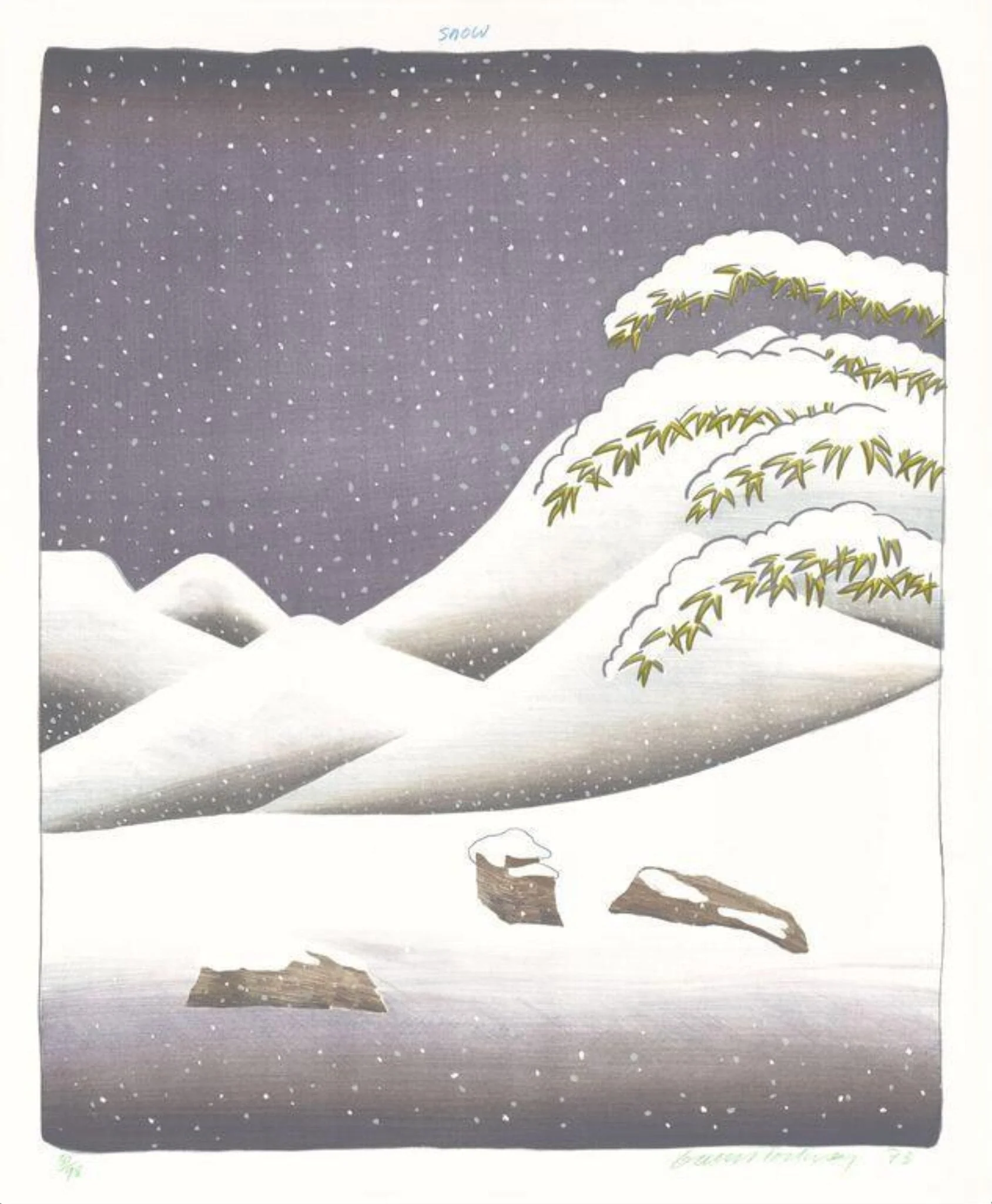 Snow, detail
