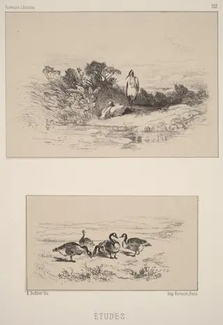 Etudes, by Karl Bodmer, ink, 1851