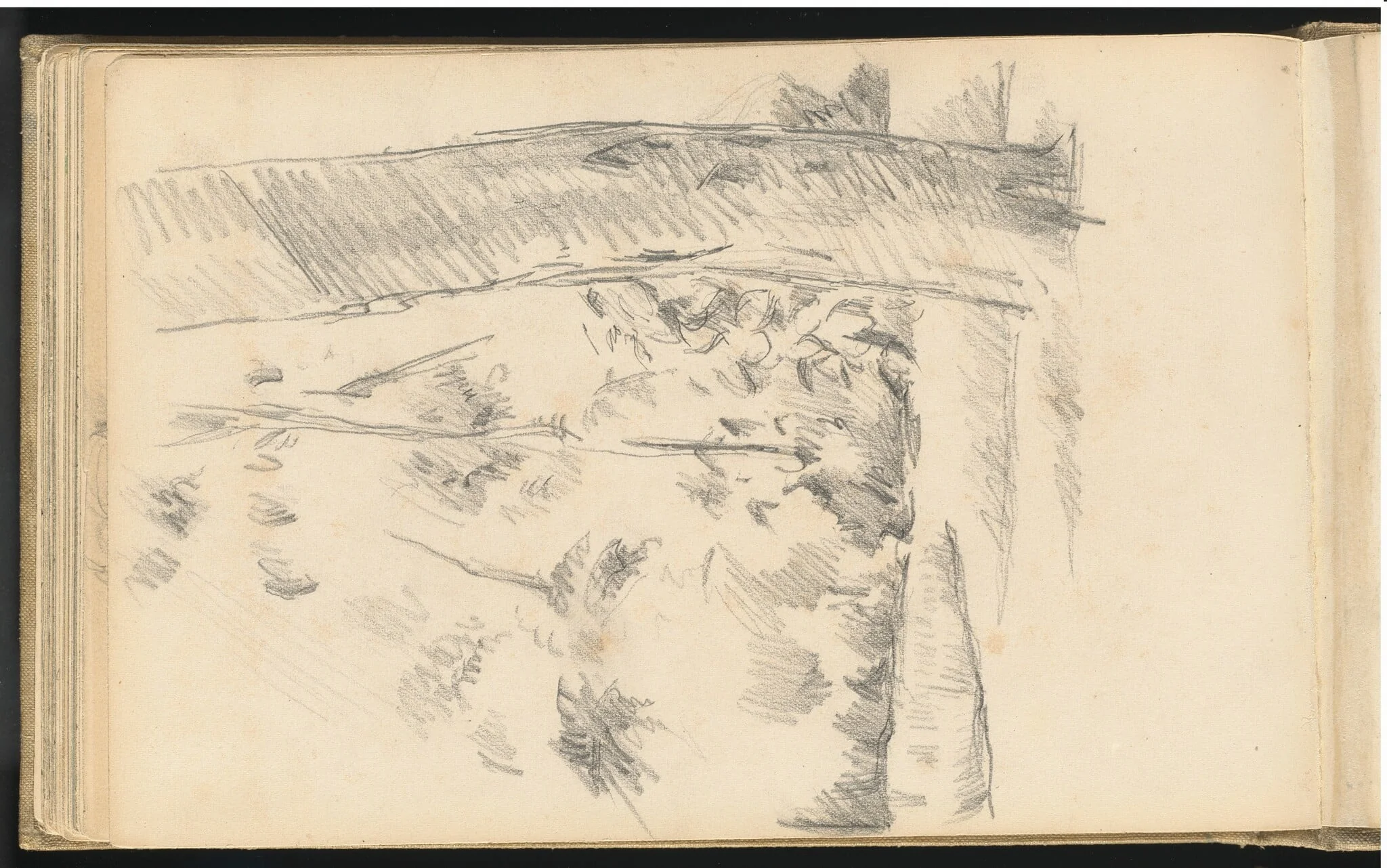 Trees and Shrubs, detail